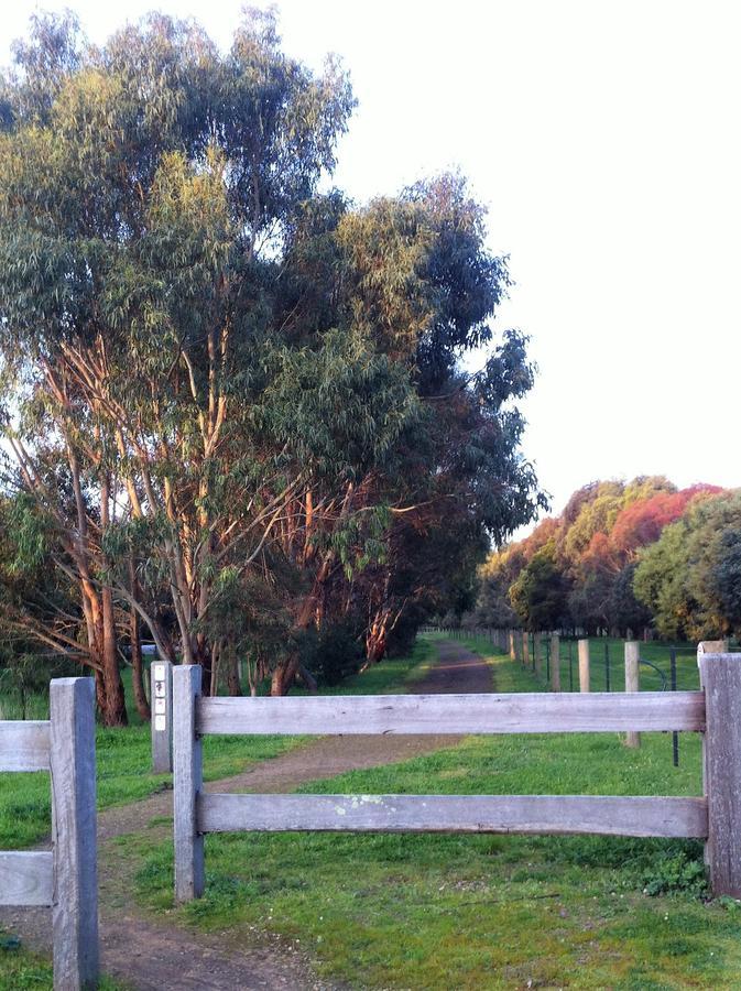 The Estate Koroit Boutique Hotel 외부 사진