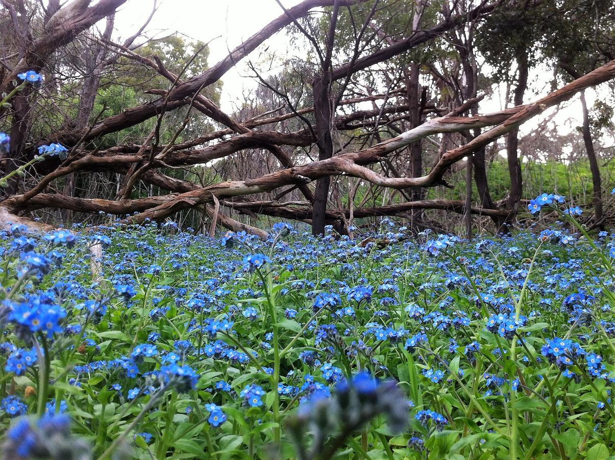 The Estate Koroit Boutique Hotel 외부 사진
