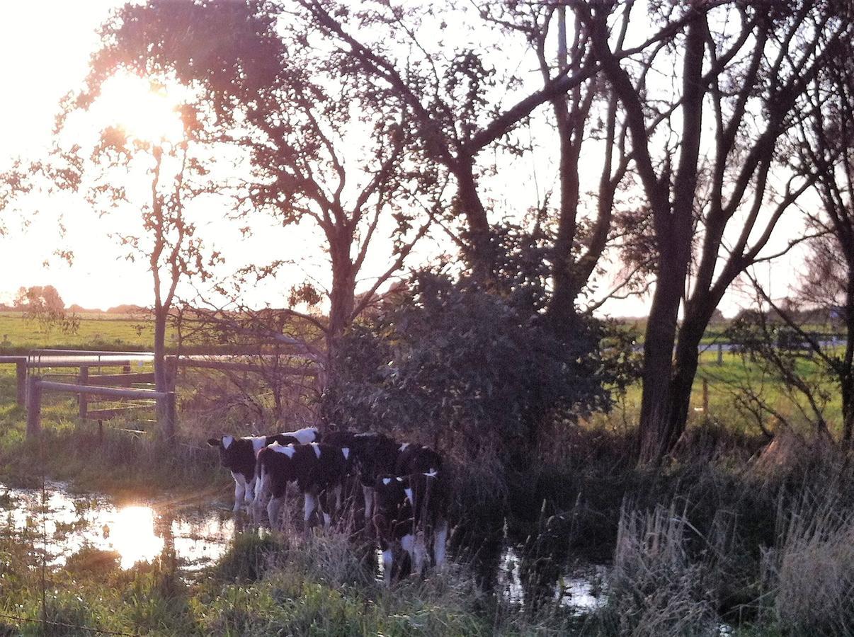 The Estate Koroit Boutique Hotel 외부 사진